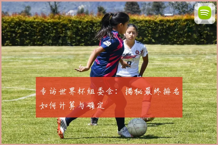 专访世界杯组委会:揭秘最终排名如何计算与确定