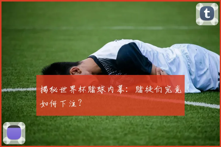 揭秘世界杯赌球内幕:赌徒们究竟如何下注?