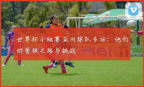 世界杯小组赛亚洲球队专访:他们的晋级之路与挑战