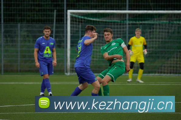 华体网手机版登录入口平台生态图